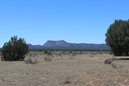 SALE PENDING - Large Acreage Sierra Verde Ranch - image 4
