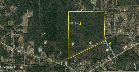 391 Acres Beautiful Development Land For Sale In Vidor Texas - image 1