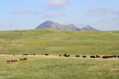 Meade County Absolute Real Estate Land Auction Sturgis Sd - image 10