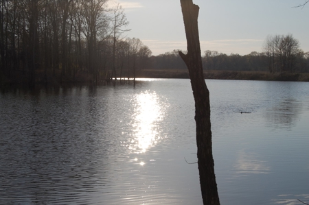 SOLD! Lot Off TN River Lake Savannah Hardin County TN - image 1