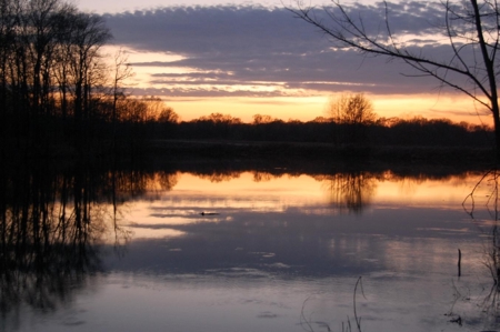 SOLD! Lot Off TN River Lake Savannah Hardin County TN - image 5