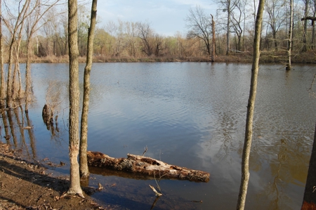 SOLD! Lot Off TN River Lake Savannah Hardin County TN - image 2