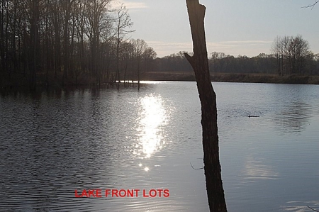 SOLD! Lot Off TN River Lake Savannah Hardin County TN - image 6
