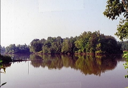 SOLD! Lot Off TN River Lake Savannah Hardin County TN - image 16