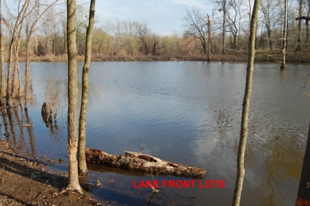 SOLD! Lot Off TN River Lake Savannah Hardin County TN - image 7