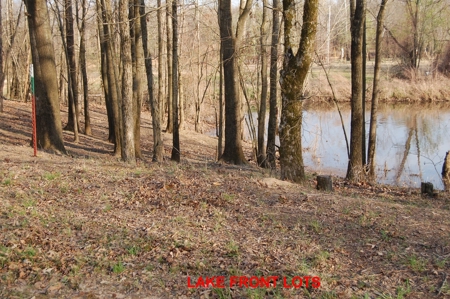 SOLD! Lot Off TN River Lake Savannah Hardin County TN - image 9
