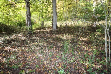 Recreational Property For Sale Abingdon VA - image 10