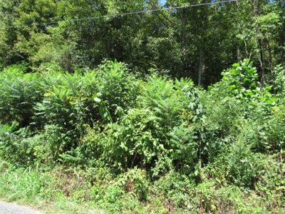 Recreational Property For Sale Abingdon VA - image 6