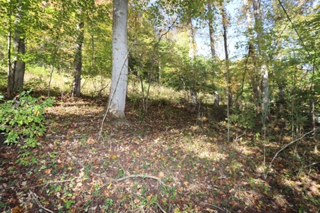 Recreational Property For Sale Abingdon VA - image 13