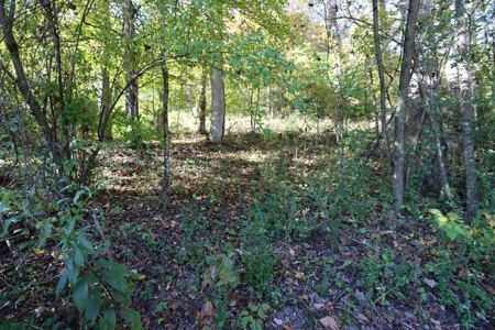 Recreational Property For Sale Abingdon VA - image 11