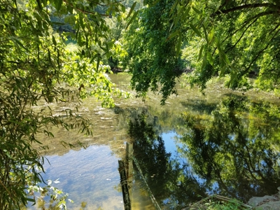 Recreational Property For Sale Abingdon VA - image 3