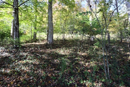 Recreational Property For Sale Abingdon VA - image 12