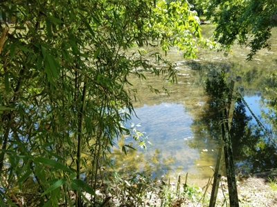 Recreational Property For Sale Abingdon VA - image 2