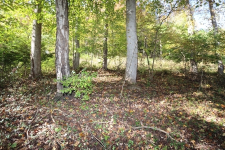 Recreational Property For Sale Abingdon VA - image 14