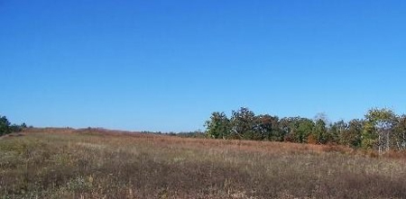 TN Residential Commercial Land For Sale Highway 64 30.5 Acre - image 4