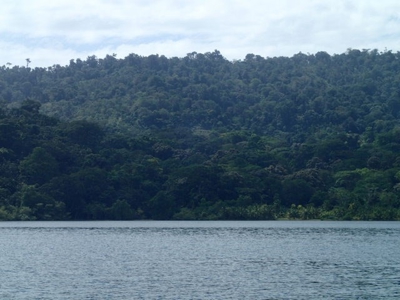Mainland Property with Fertile Soil and Fresh Water Spring - image 3