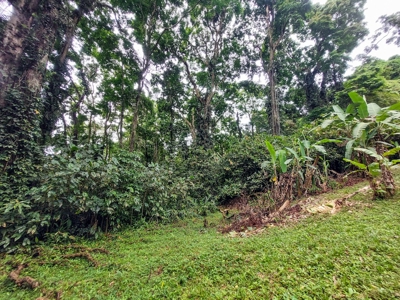 Mainland Property with Fertile Soil and Fresh Water Spring - image 6