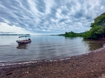 Mainland Property with Fertile Soil and Fresh Water Spring - image 13
