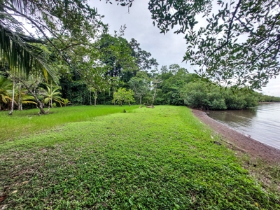 Mainland Property with Fertile Soil and Fresh Water Spring - image 15