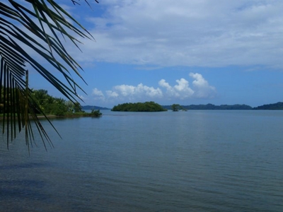 Mainland Property with Fertile Soil and Fresh Water Spring - image 2