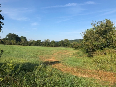 .55 Acres Unrestricted Land in Hawkins Co., TN - image 9