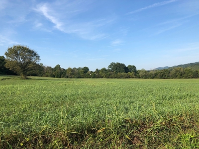 .55 Acres Unrestricted Land in Hawkins Co., TN - image 7