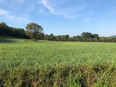 .55 Acres Unrestricted Land in Hawkins Co., TN - image 5