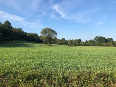.55 Acres Unrestricted Land in Hawkins Co., TN - image 4