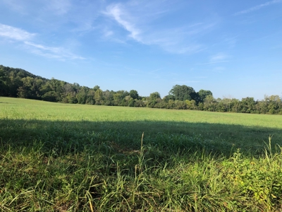 .55 Acres Unrestricted Land in Hawkins Co., TN - image 8