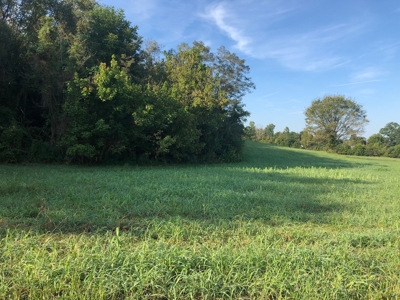 .55 Acres Unrestricted Land in Hawkins Co., TN - image 2