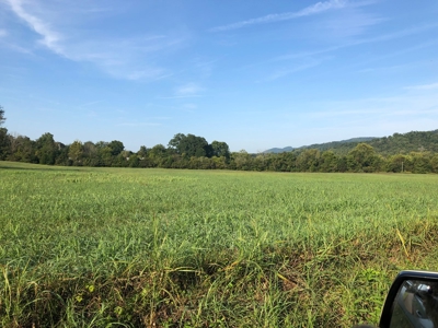 .55 Acres Unrestricted Land in Hawkins Co., TN - image 1