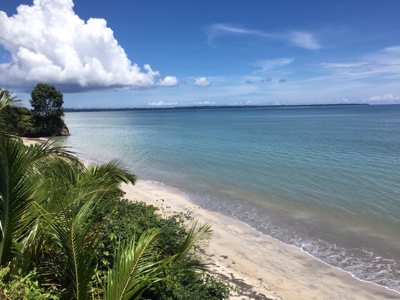 Coastal  Sand Beachfront in Bocas del Toro Panama - image 4