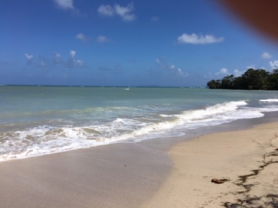 Coastal  Sand Beachfront in Bocas del Toro Panama - image 13