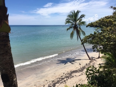 Coastal  Sand Beachfront in Bocas del Toro Panama - image 5