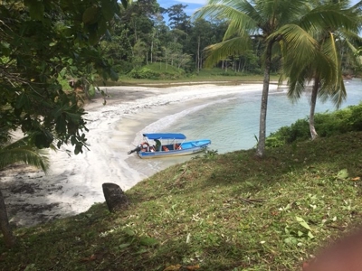 Coastal  Sand Beachfront in Bocas del Toro Panama - image 8