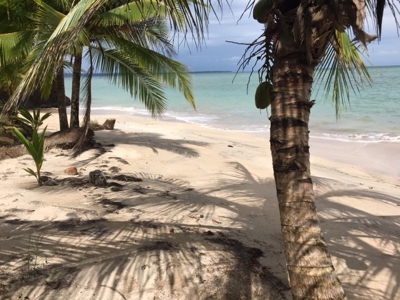 Coastal  Sand Beachfront in Bocas del Toro Panama - image 11
