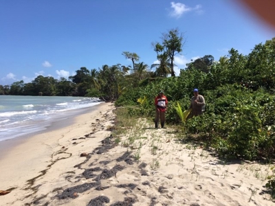 Coastal  Sand Beachfront in Bocas del Toro Panama - image 19