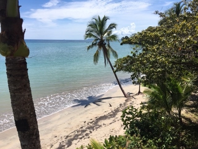 Coastal  Sand Beachfront in Bocas del Toro Panama - image 3