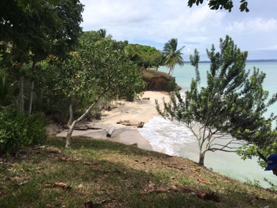 Coastal  Sand Beachfront in Bocas del Toro Panama - image 12