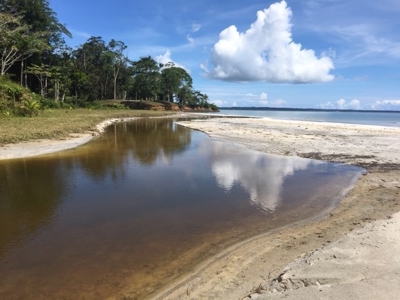 Coastal  Sand Beachfront in Bocas del Toro Panama - image 2