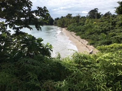 Coastal  Sand Beachfront in Bocas del Toro Panama - image 10