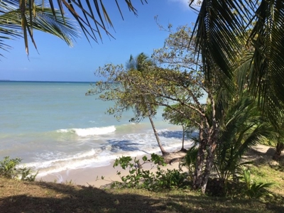 Coastal  Sand Beachfront in Bocas del Toro Panama - image 18