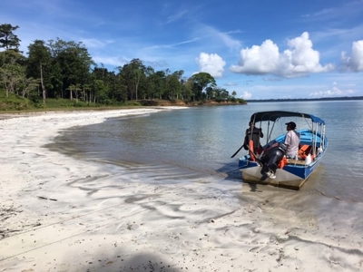 Coastal  Sand Beachfront in Bocas del Toro Panama - image 1