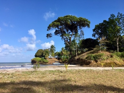 Coastal  Sand Beachfront in Bocas del Toro Panama - image 17