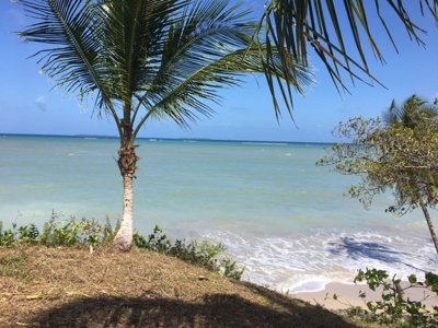 Coastal  Sand Beachfront in Bocas del Toro Panama - image 16