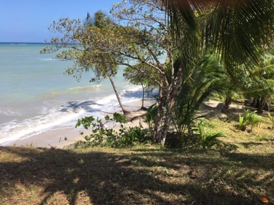 Coastal  Sand Beachfront in Bocas del Toro Panama - image 15