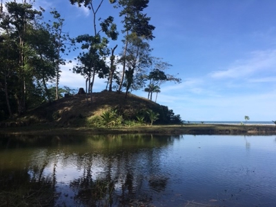Coastal  Sand Beachfront in Bocas del Toro Panama - image 6