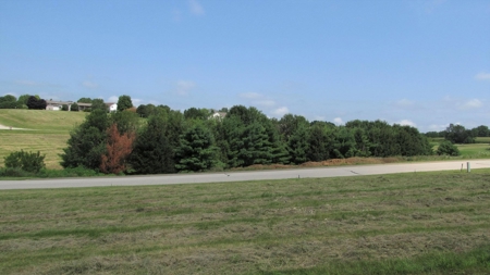 Lot #16 .448 Acres Zoned For Home & Townhouses - image 2