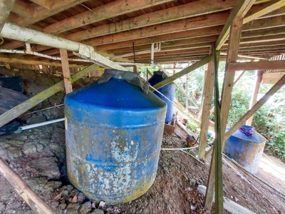 Titled Ocean View Handyman special, Bocas del Toro, Panama - image 9