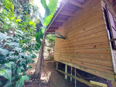 Titled Ocean View Handyman special, Bocas del Toro, Panama - image 13